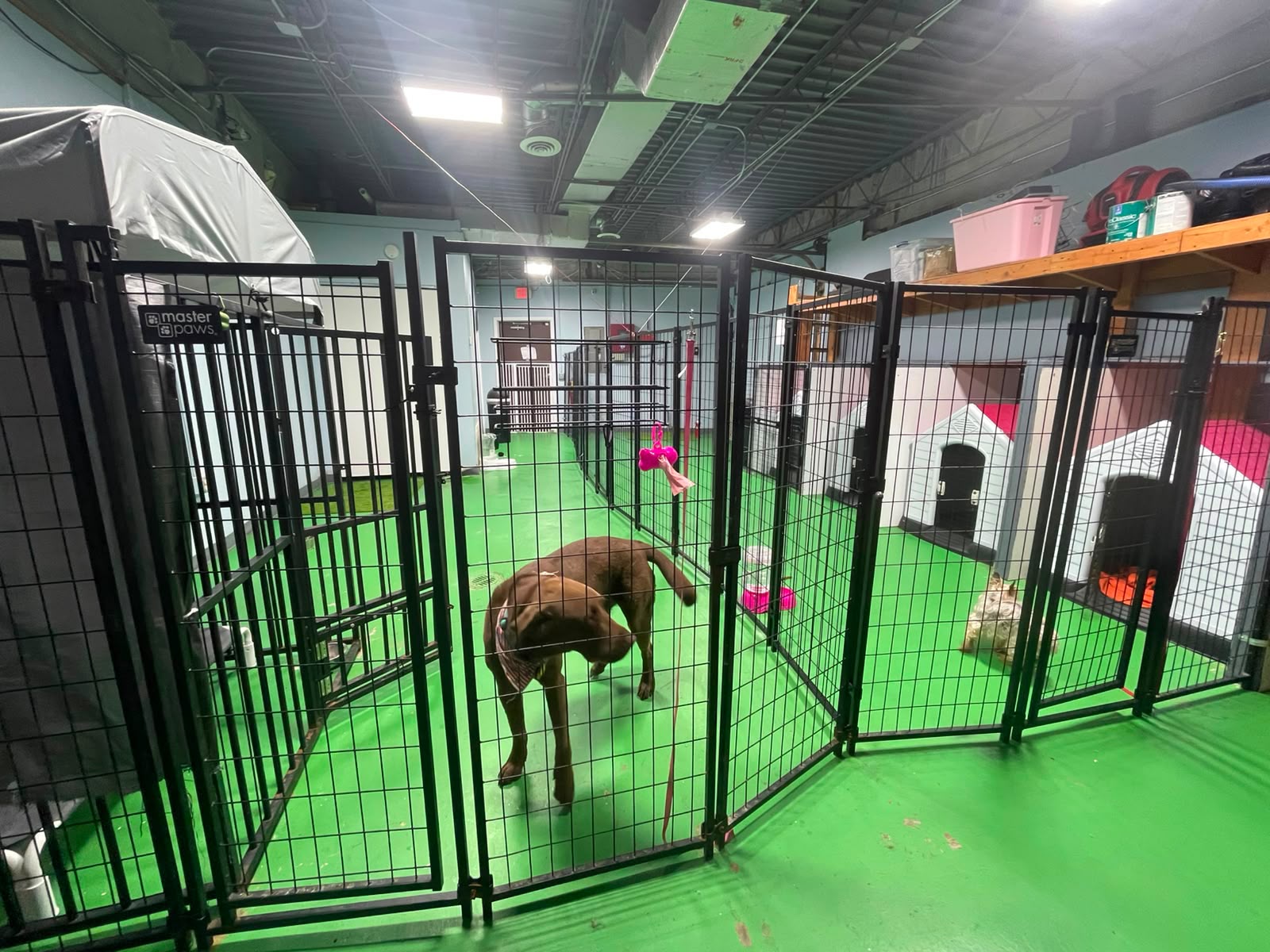 Daycare